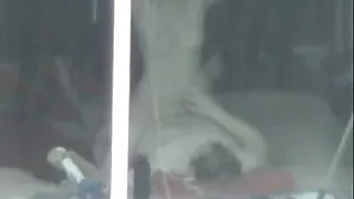 હોર્નીક હોટ સેકસી વીડિયો